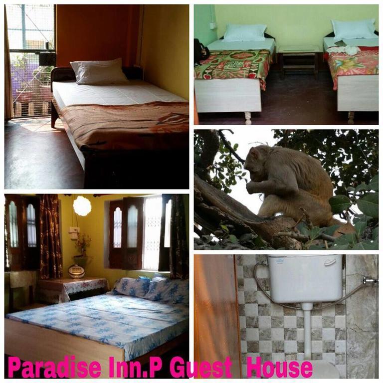فاراناسي Paradise Inn Guest House المظهر الخارجي الصورة
